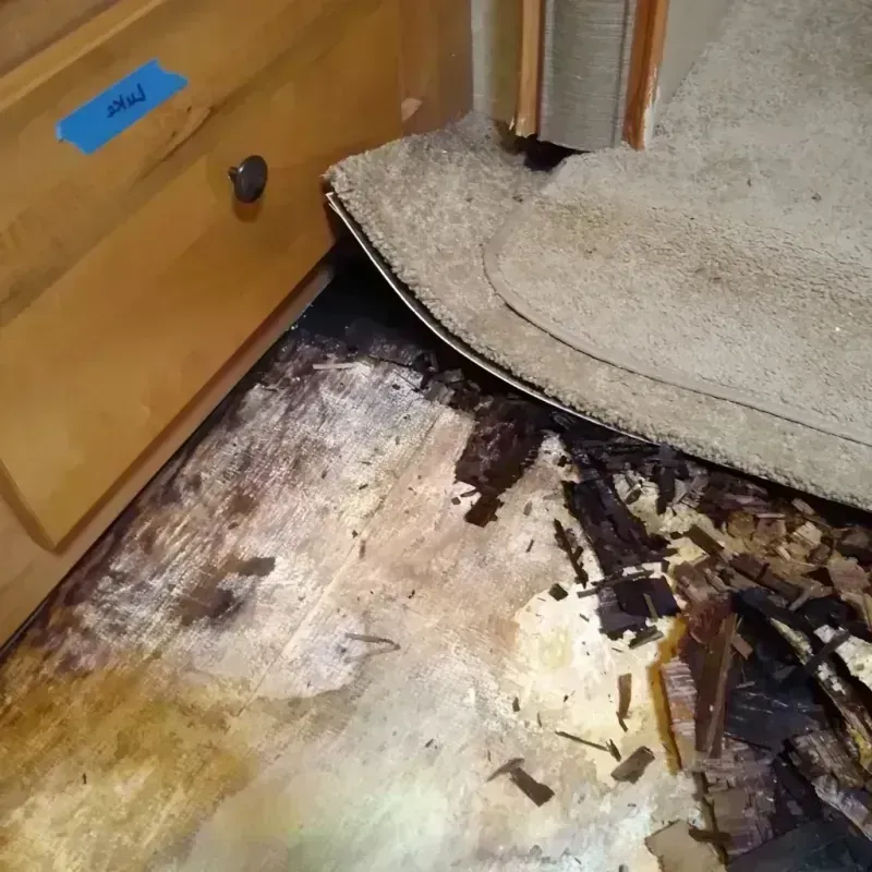 Wood Floor Water Damage in Chicago Heights, IL